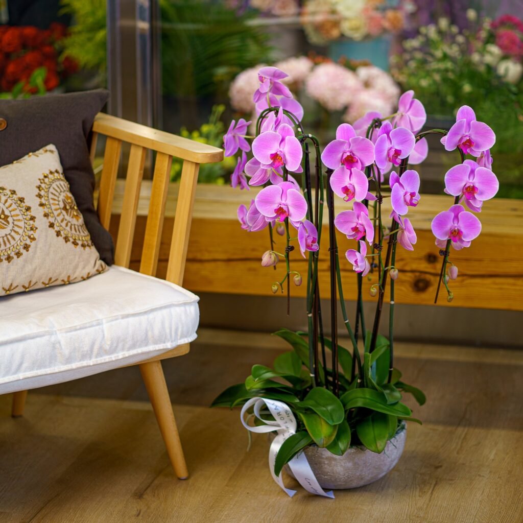 NO.109 – PERPLE ORCHIDS IN THE CERAMIC VASE