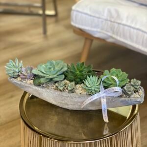 No.114-Succulents In A Ceramic Vase