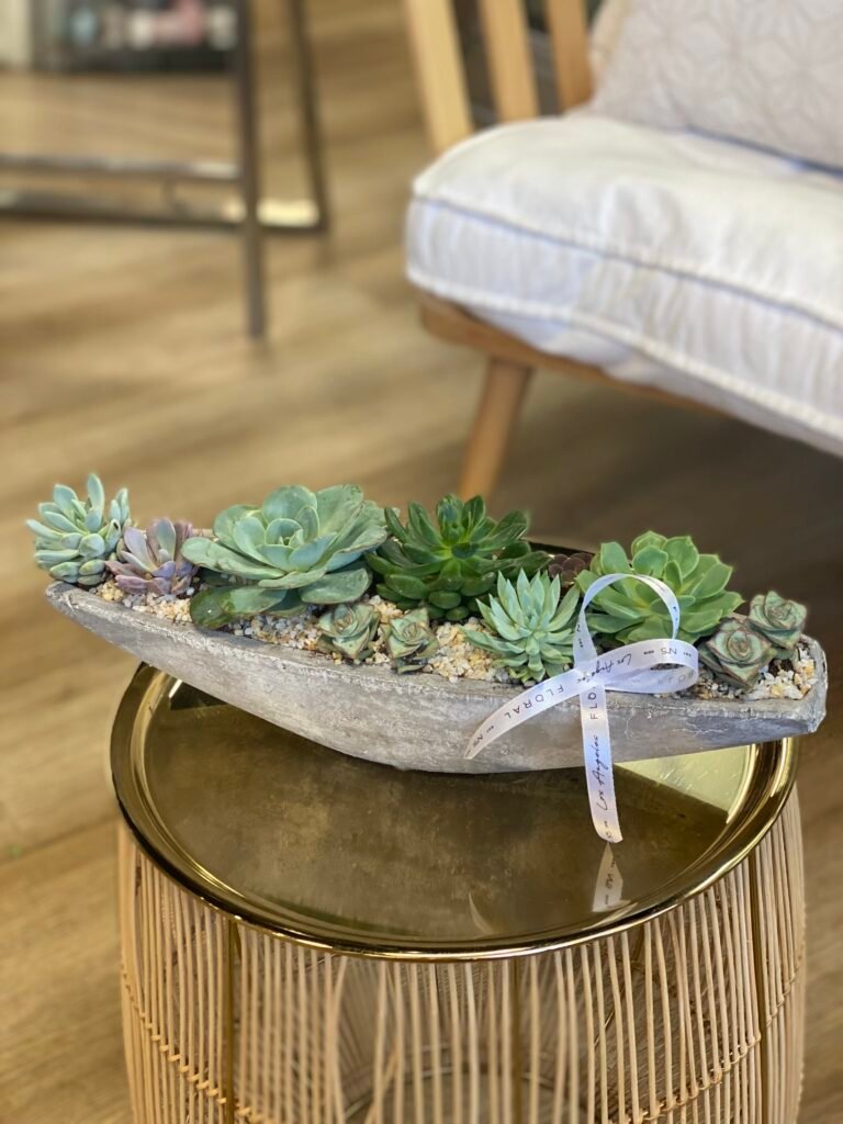 No.114-Succulents In A Ceramic Vase