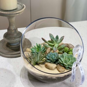NO.157 - SUCCULENT TERRARIUM