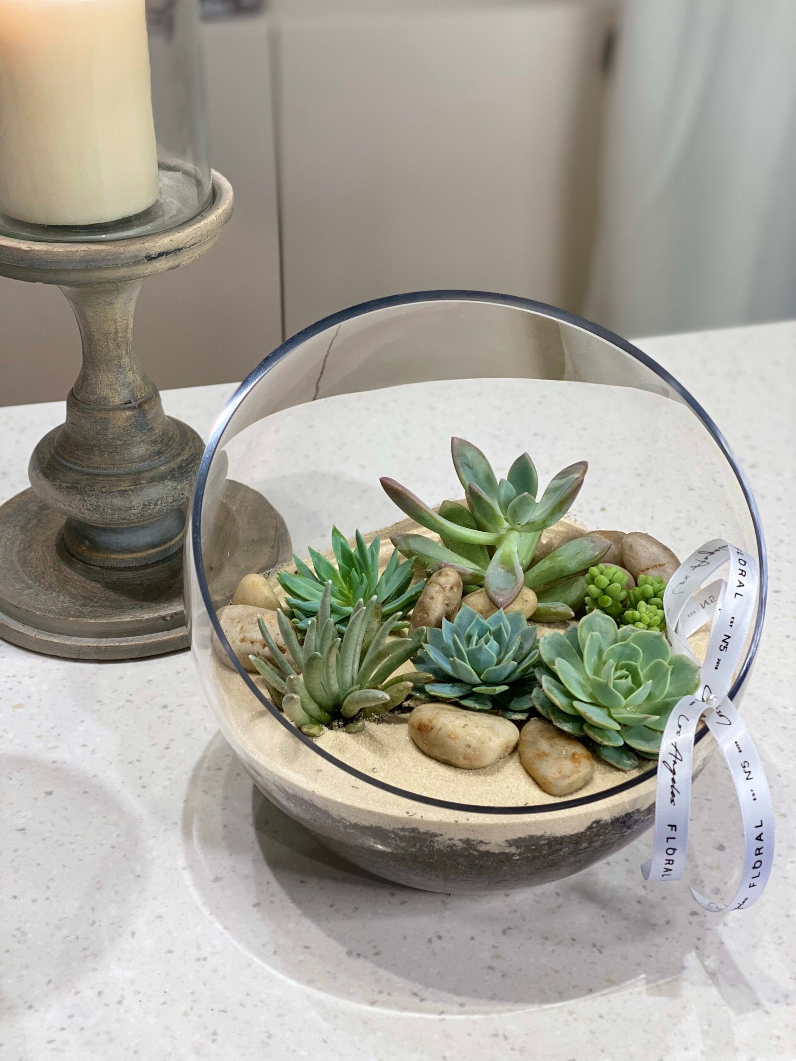 NO.157 - SUCCULENT TERRARIUM