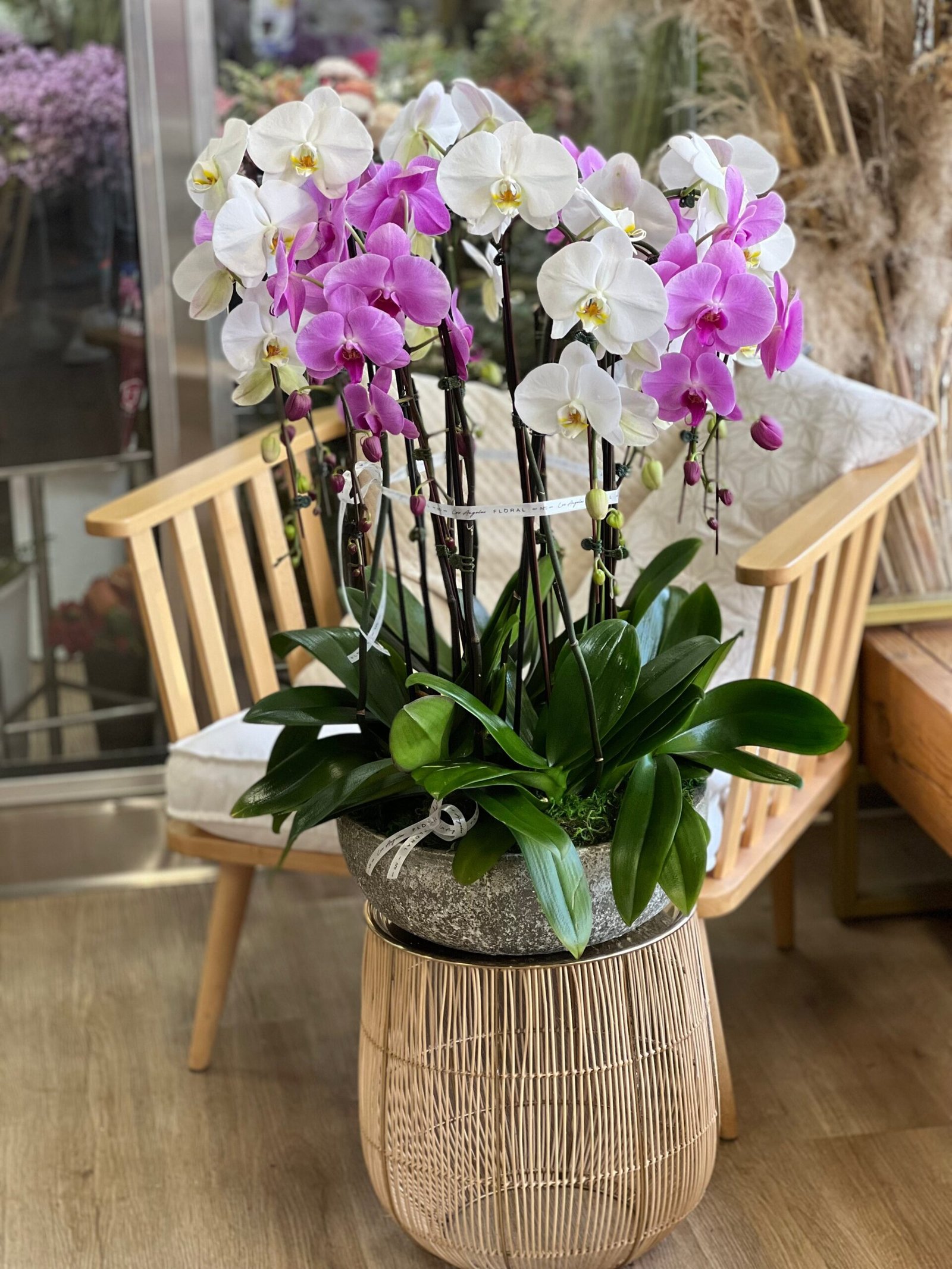 NO.170 - WHITE and PURPLE ORCHIDS IN THE CERAMIC POT