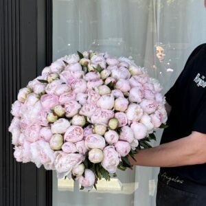 NO.321 - PEONY DREAMS