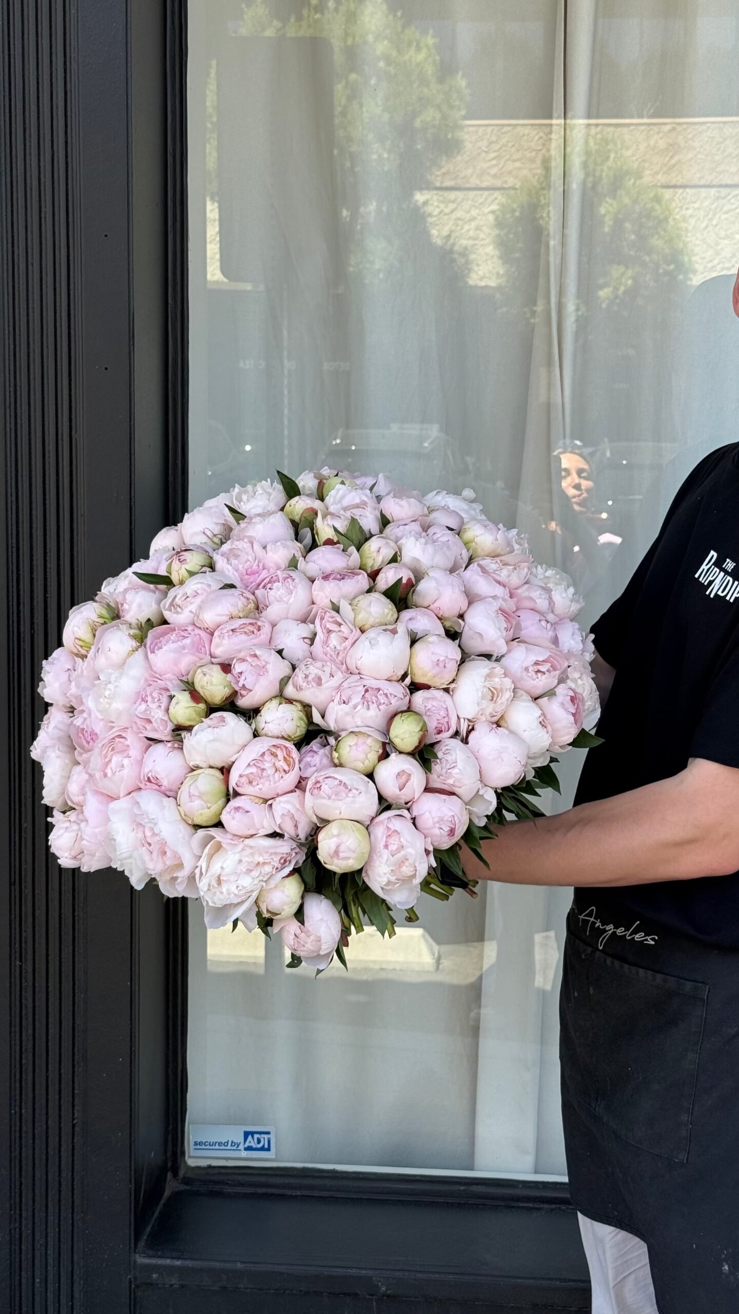 NO.321 - PEONY DREAMS
