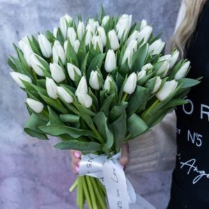 NO.378 - WHITE TULIPS