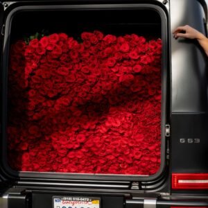 NO.556 - 1000 roses