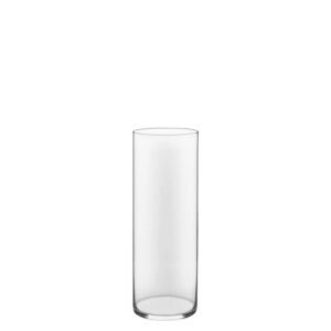 Vase for 100 Roses