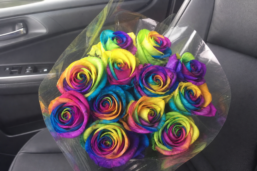 NO.229 – Eternal Red roses